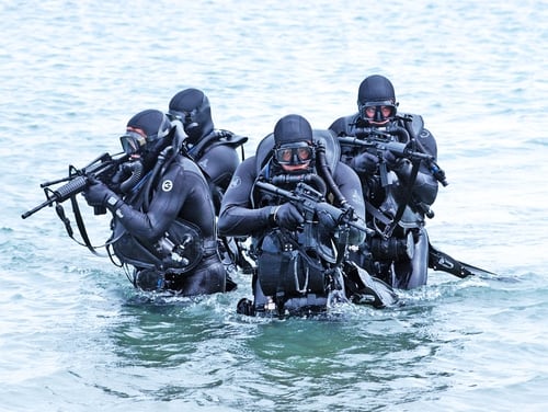 10 Seals Face Separation After Testing Positive For Drugs 