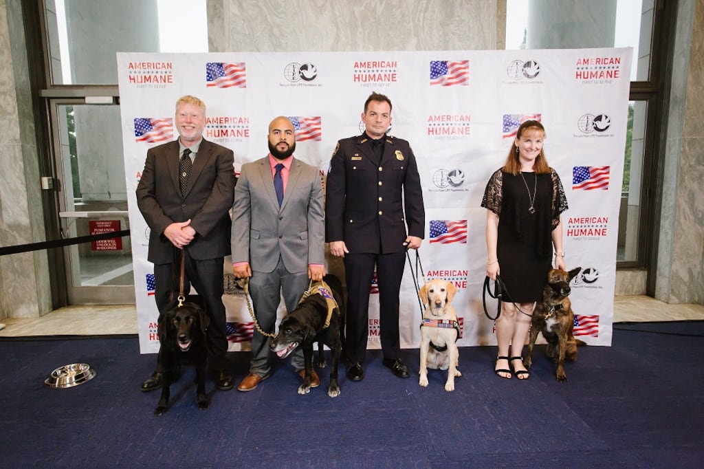 Four Heroic Military Dogs Receive Nation’s Highest Honor for Bravery