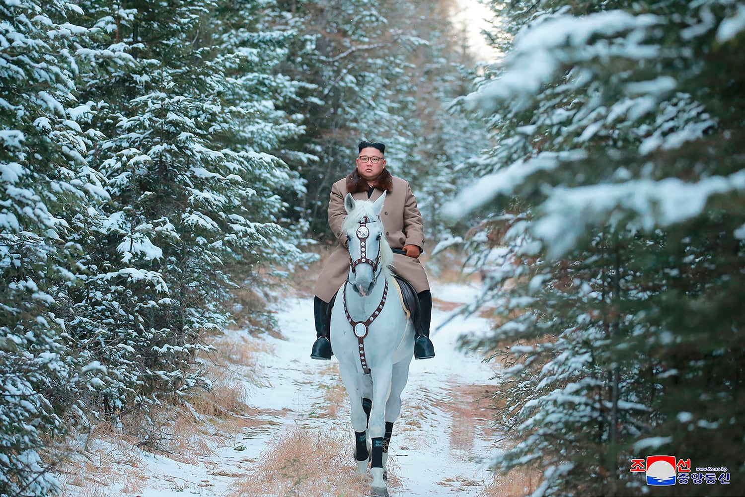 Kim Jong Un rides a white horse