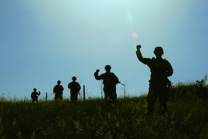 Members of the 838th Military Police Company out of Youngstown, Ohio, conduct a cordon and search exercise in the lush green Preševo Valley June 13 as part of Platinum Wolf 2019 in South Base, Serbia.