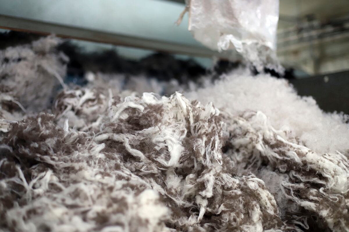 Bison wool is collected into a bin on Wednesday, July 3, 2019, at American Woolen Company Inc., in Stafford Springs, Conn.