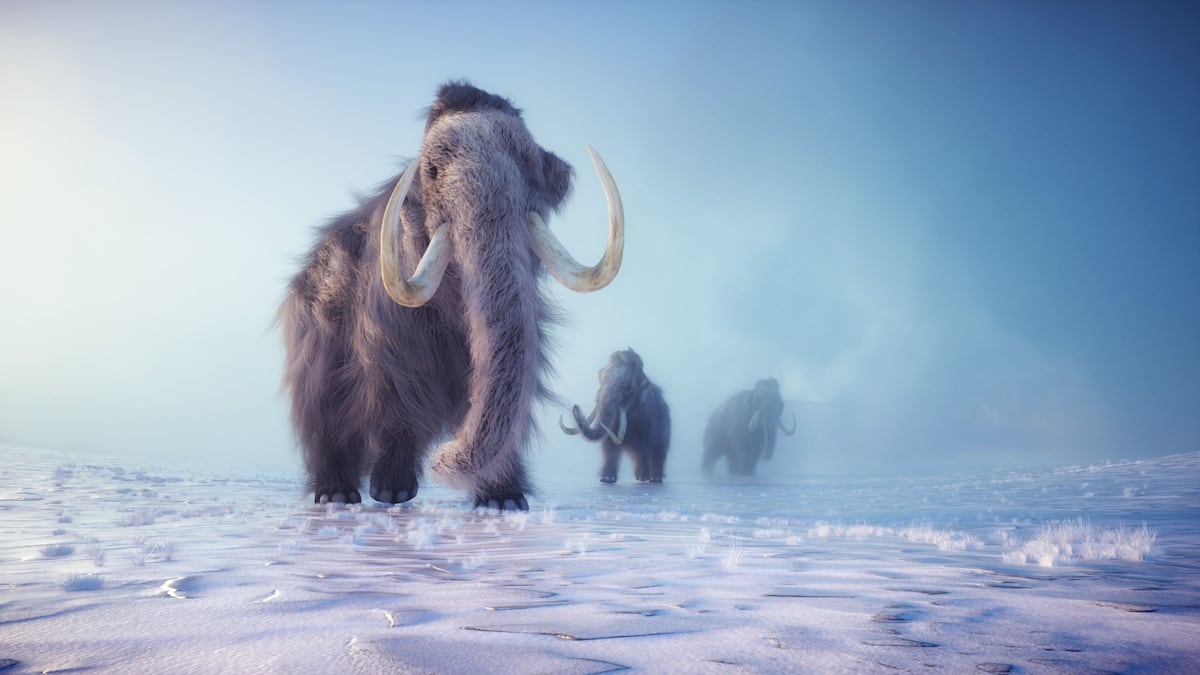 Will Woolly Mammoths Walk the Earth Again?