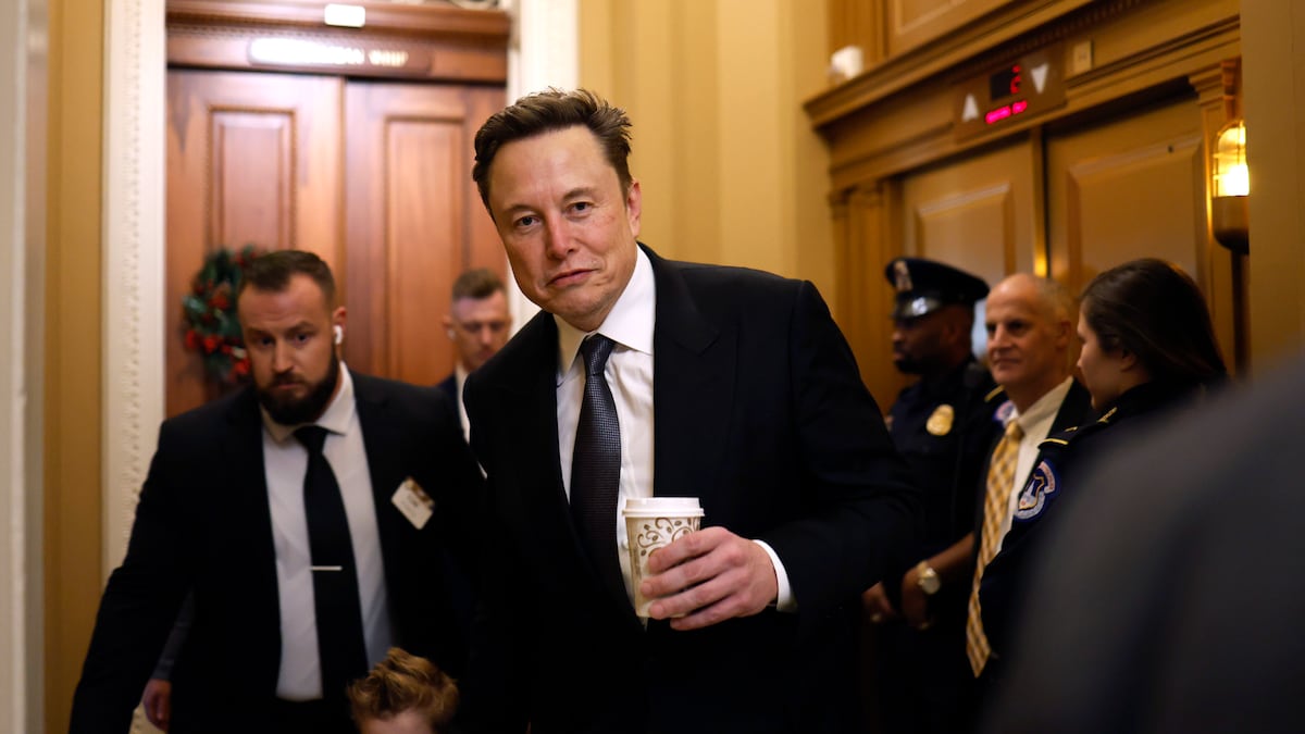 Musk Alert! Musk Alert! Not Everyone's Happy About His Government Role